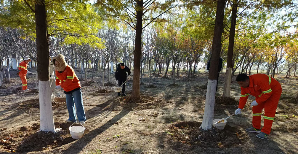 657e162f511c4bf599669d9dc1a8b879