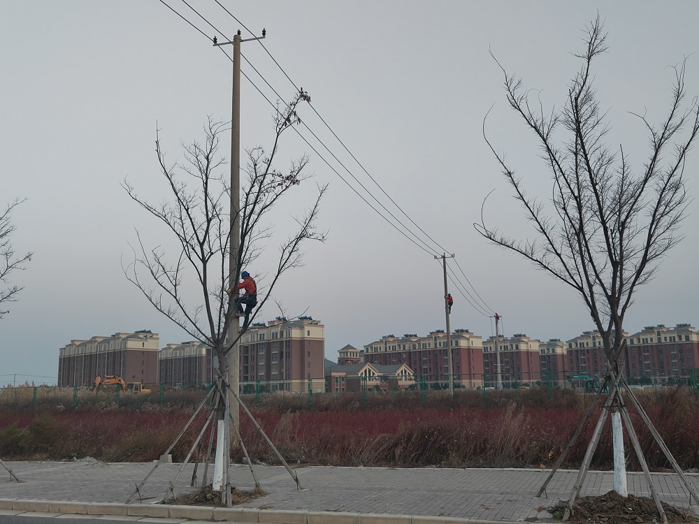 1668657974758062760.jpg 徐南供電所大干四季度1.jpg